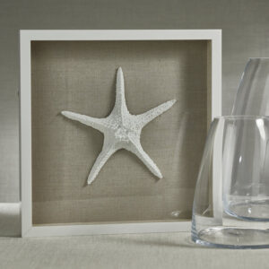 White Framed Starfish